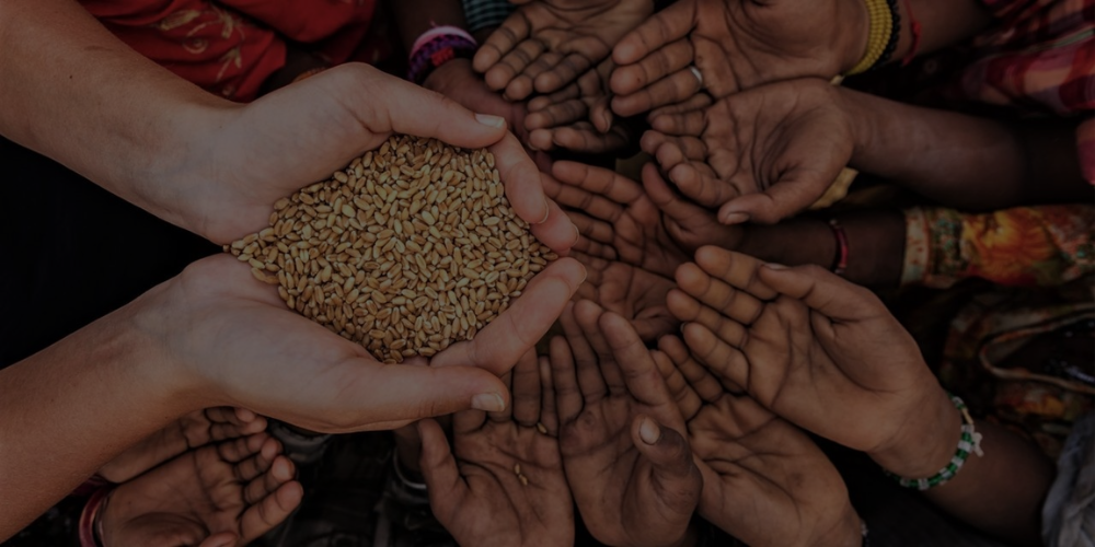 Untitled design (19)